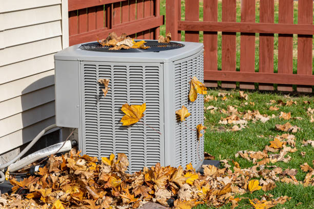 Best HVAC repair near me  in Bogata, TX